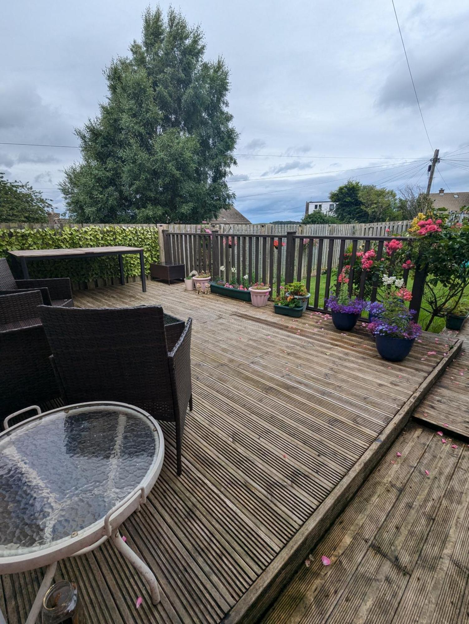 Single Room With Beautiful Garden Edinburgh Ngoại thất bức ảnh